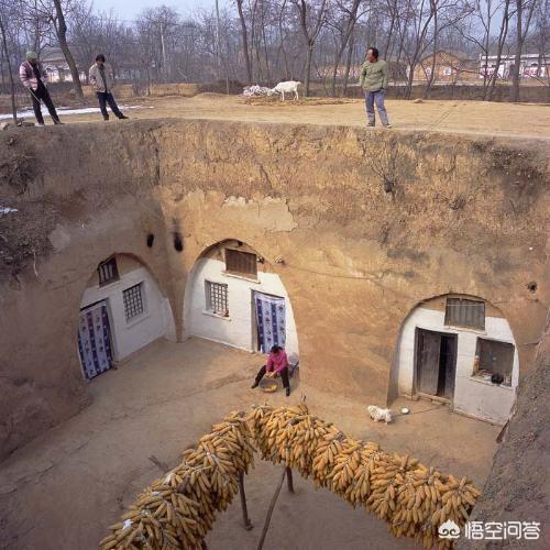 斗牛犬躲冰箱避暑视频:热死个人了，除了开空调，还能怎么降温？ 斗牛犬睡觉盖被子视频