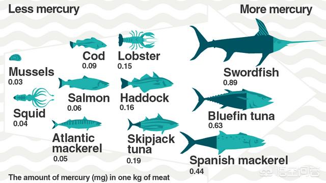 旗鱼和马林鱼是同类吗，常吃深海鱼会汞中毒吗有什么研究数据
