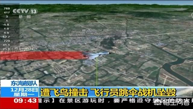 下鸟啦网:飞机及战斗机在空中飞行是怎样防范被鸟撞击的？