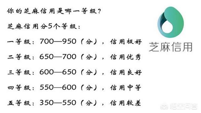 微信黑马速查是真的吗:芝麻分727分了，感觉都没什么用处，你说呢？