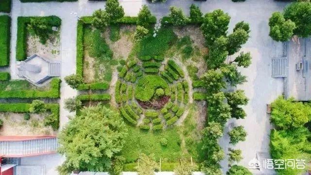 洛阳周边游:洛阳周边游有哪些地方景点一定要去？(洛阳景区有哪些景点开放)