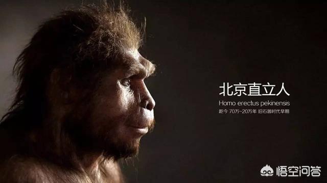 马鹿洞人:地球上本没有“人”，第一个“人”究竟是从何而来的？有定论吗？