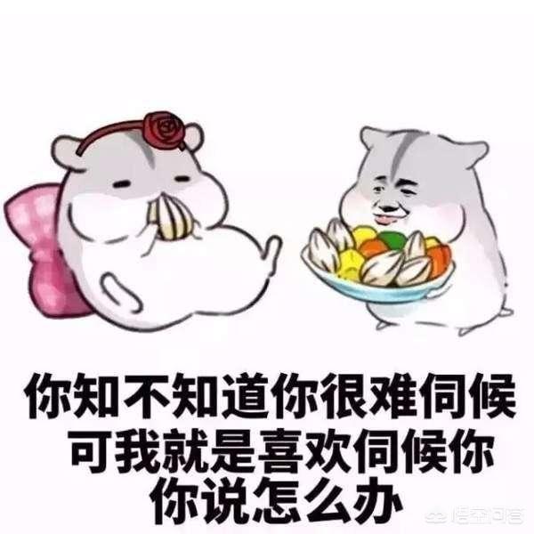 头条问答 - 你有没有哪些可以哄女朋友/男朋友开心的表情包?