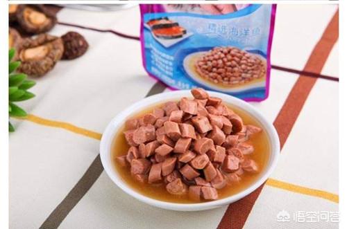 鞍山喜马拉雅种猫:喜马拉雅猫掉毛严重怎么办？