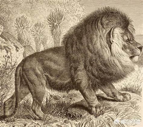 虽然在远古时期的地球上有着更多体型庞大,凶猛性更强的生物,但地球上