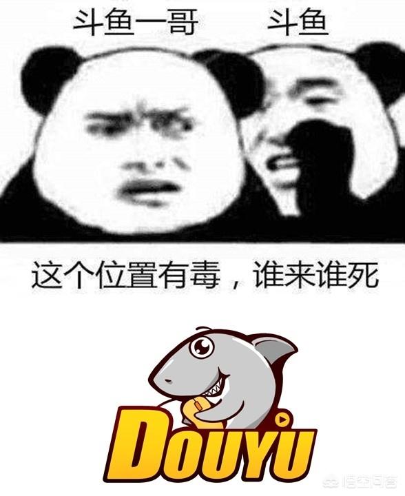 谁才是直播一哥？旭旭宝宝还是pdd？