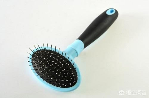 布偶猫图片:布偶猫感冒了能好吗，猫咪感冒怎么办？布偶猫感冒会传染吗？ 布偶猫图片唯美