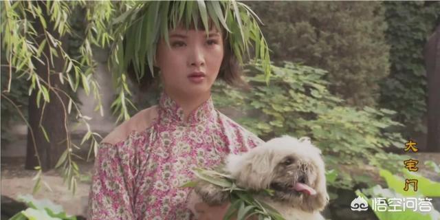 呛口的小辣椒结婚照:《大宅门》中为什么白景琦宁愿惹怒亲戚和杨九红，也要娶香秀
