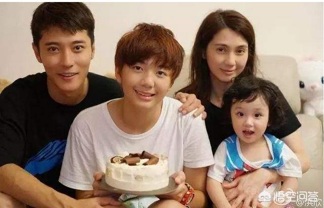 莫少聪洪欣:张丹峰送洪欣脑白金你怎么看