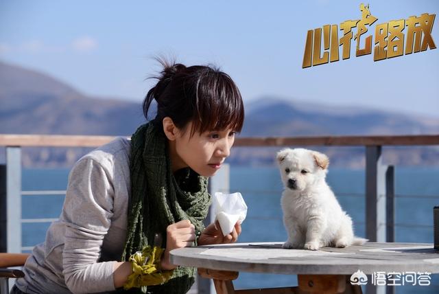 吴樾车震女主角:如何评价宁浩执导的电影《心花路放》