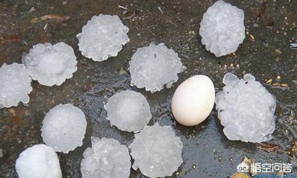 下冰雹:为什么有时候雨天会下冰雹呢