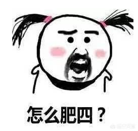 天竺鼠与佣兵中文谐音:能否说说你们最喜欢的小说？