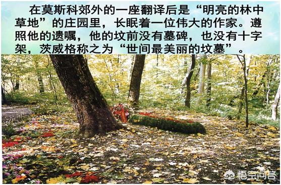 翡翠森林宠物殡葬:农村自留承包的山林地建造墓地是否违法？