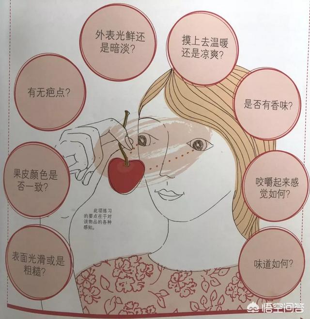 注意力训练:如何真正有效地训练孩子的注意力和记忆力？