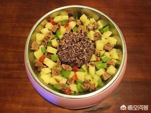 迷你笃宾犬饮食:想养掉毛少的狗狗，有什么推荐？