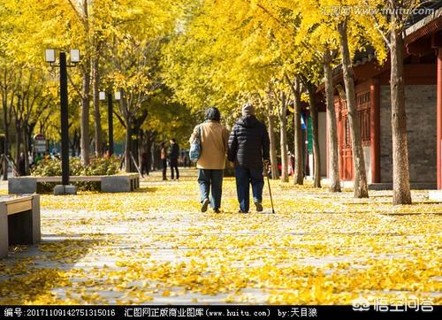 丧和绝望和不开心是什么关系？