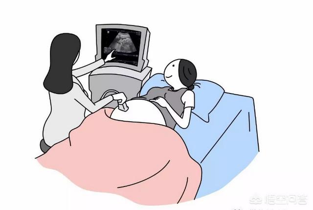 第二种就比较准确一点了,综合了头围(hc),腹围(ac),股骨长(fl)以及