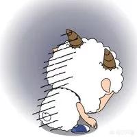 哪种水果对肾好,适合肾不好的人吃？