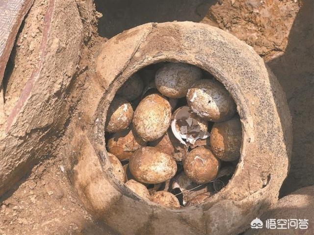 探索发现古墓2021，为何考古专家都不敢碰古墓里的鸡蛋