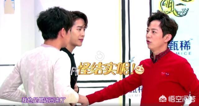 彭昱畅体重:如何看待彭昱畅在《向往的生活》中的忽胖忽瘦