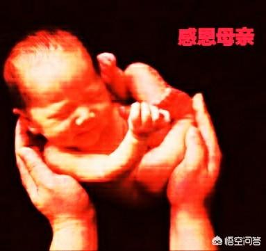 为什么母亲是天底下最美的女人？