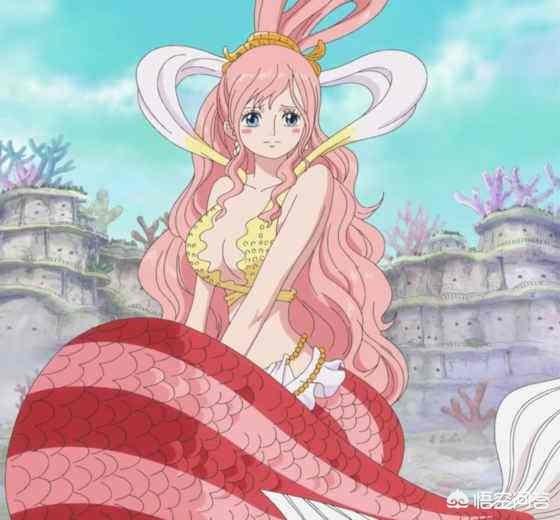 《海贼王》884集国王们为什么都想让自己的儿子娶人鱼公主白星?