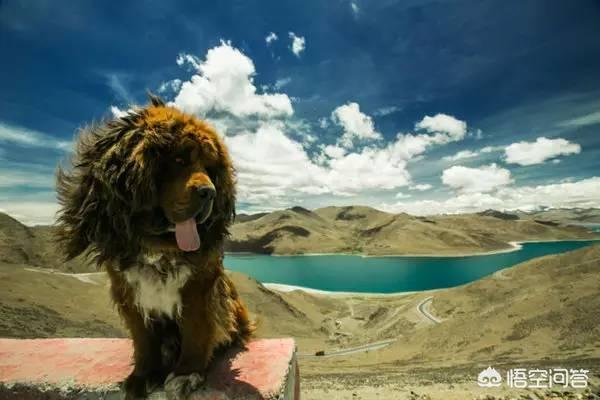 拉姆拉措的灵异事件:为什么有人说每个国人心中都有一个西藏梦？