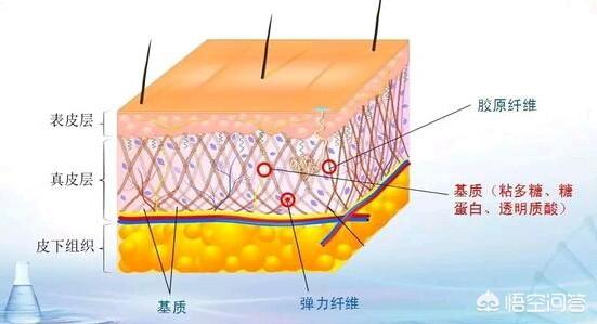 法令纹深:法令纹怎么去除我好像从小法令纹就挺深