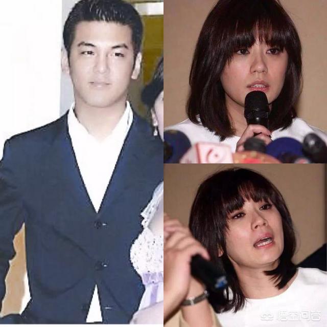 佟丽娅家暴:娱乐圈有哪些被家暴的女明星？