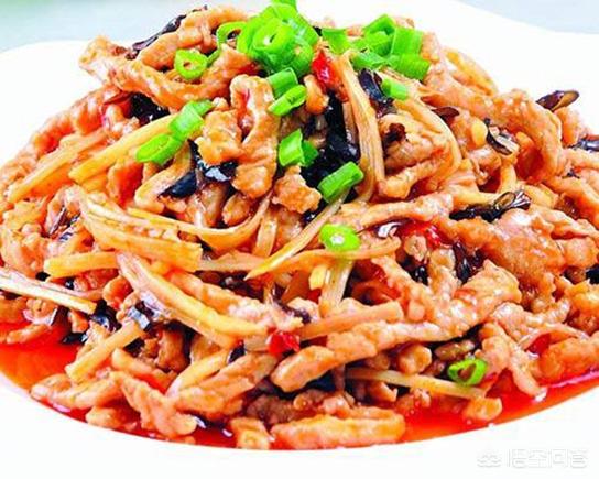 会爬树的鱼免费阅读:鱼香肉丝里为什么没有鱼？