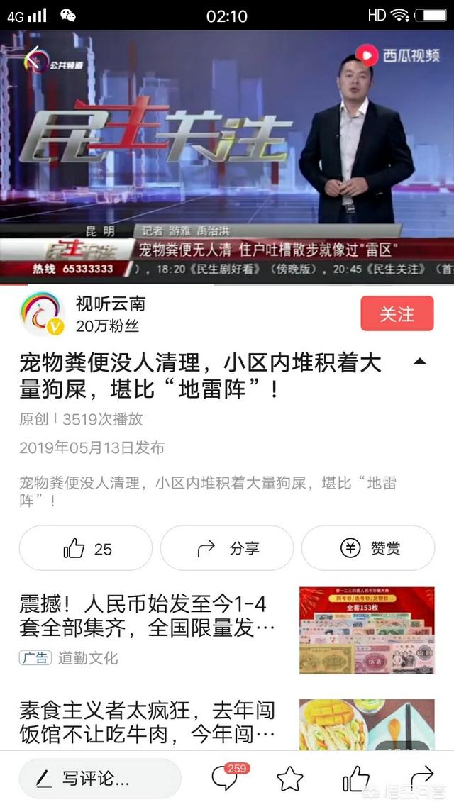 小姐与流浪狗44:在城市遛狗，你看到多少人清理过狗屎和狗尿？如何评价这种现象？ 小姐与流浪狗4