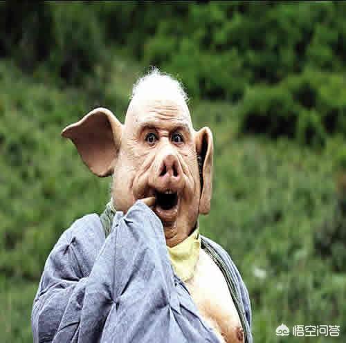 猪的细小病毒症状:猪细小疫苗要稀释吗？怎么打？