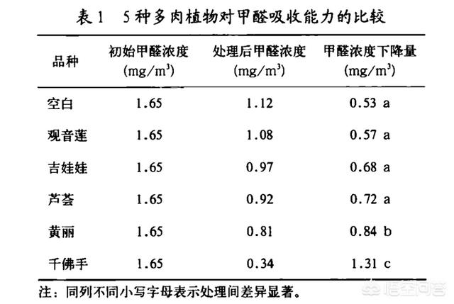 多肉这种植物到底吃什么，多肉植物用什么养最好