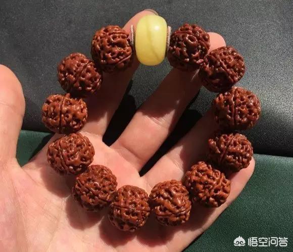 刷尾负鼠:金刚菩提子头和尾怎么刷？