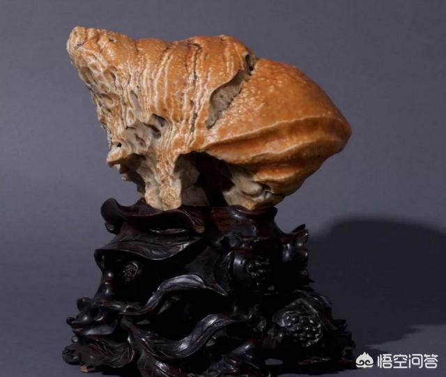 黑白花比特犬图片:像这种石质稍粗，但是画面好，黑白对比鲜明的奇石，你会收藏吗？