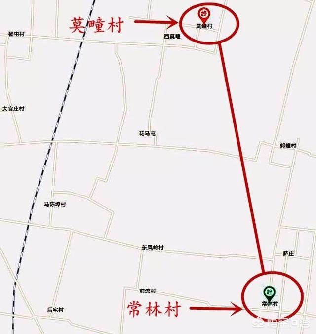 英国宠物犬捡到钻石:40年前，女孩捡到159克拉钻石并上交，如今过得如何？