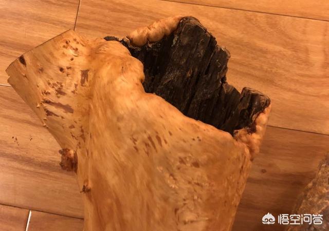 花土里加火山石:轻石与植金石相比，哪个用来养兰花比较好？