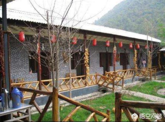 室外苍蝇太多怎么消灭最好:农村院子里苍蝇很多，怎么长期驱逐？或者消灭？
