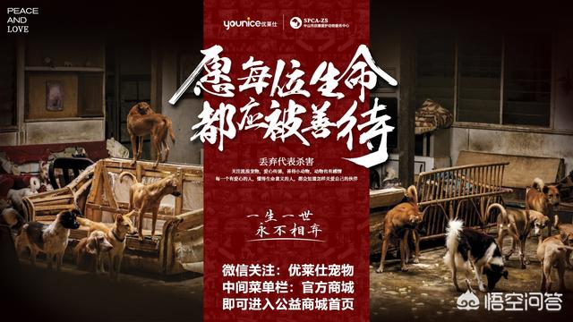 耳螨酒精可以用吗:狗子耳螨怎么除掉，狗子耳螨怎样上药？