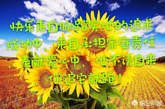 为什么有些人找不到真正的快乐？