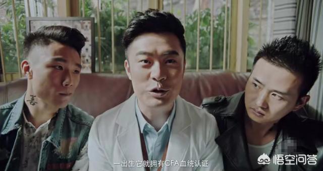陈赫个人资料:如何评价由陈赫、王子文主演的都市轻喜剧《动物管理局》？