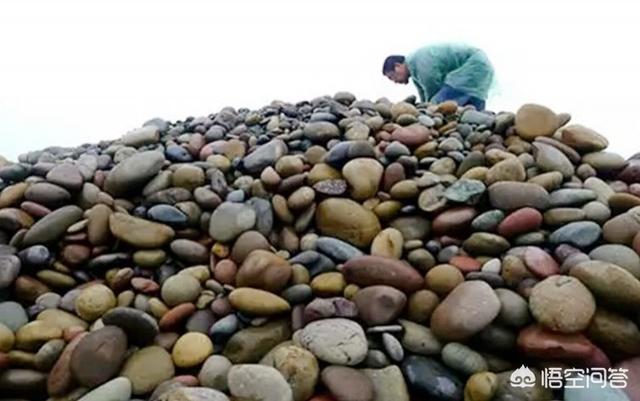 梦见和别人一起捡石头,靠捡石头真的能养家糊口吗？