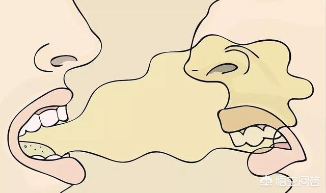 花清丹滋养型有排泄物:肝不好，会有“2处发臭”，“3处变色”，具体指哪里？