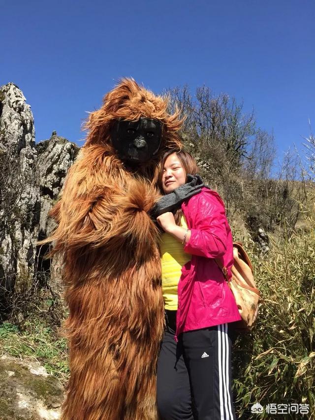 野人探索纪录片，神农架野人目击地是否存在神农架野人图片是真的吗