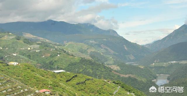 台湾蓝鹊茶价格:台湾极品高山茶系列，台湾有哪些极品高山茶系列？