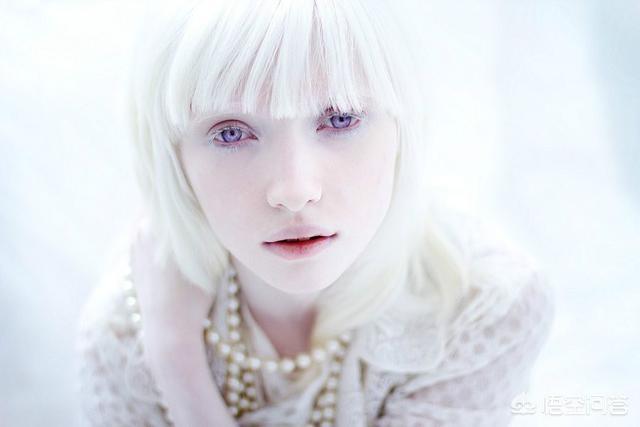 伊丽莎白泰勒的眼睛:哪些女明星的眼睛很漂亮？