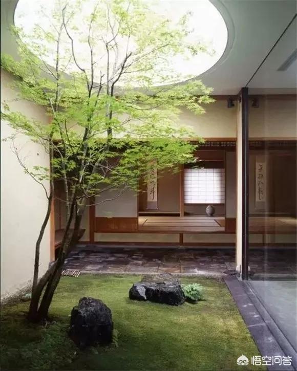 孟州滨河公园荷花花期多少天:孟州滨河公园赏荷花最好时间 河南有哪些赏花的好地方？