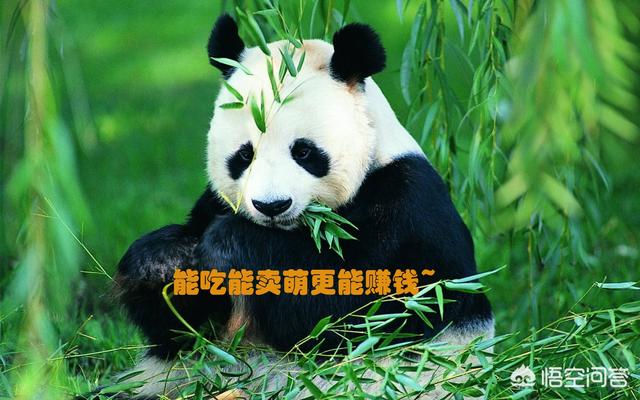 关于中国的100个常识,有哪些技术中国是最牛逼的？