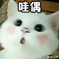 我身份证已经成年了为什么lol还有2小时限制？