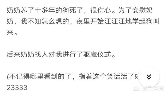 犬饲先生养狗记优酷:养狗之后，你觉得什么人最讨厌？ 电影犬饲先生养狗记免费在线观看